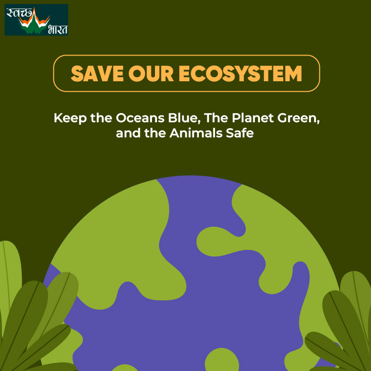 We recycle and we revive the ecosystem.